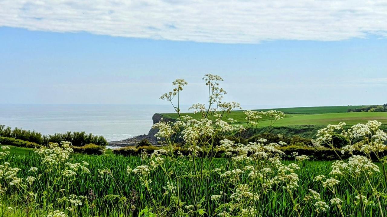 Cober Hill Hotell Scarborough Eksteriør bilde
